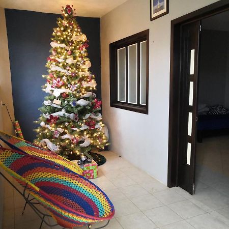 Bed and Breakfast Montealban House Oaxaca Экстерьер фото